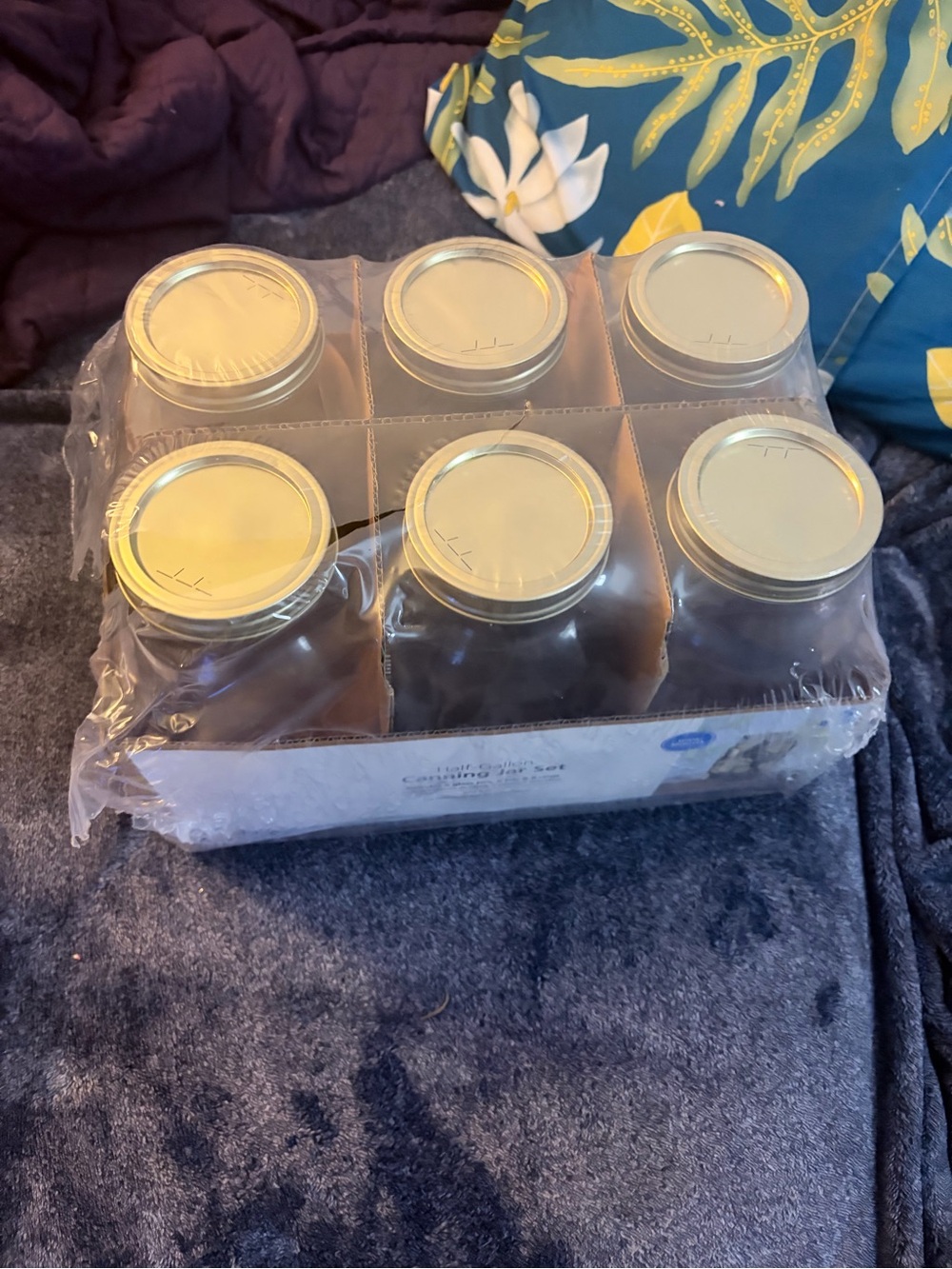 Glass Canning Jar Set with Silver Lids - 6 Pack